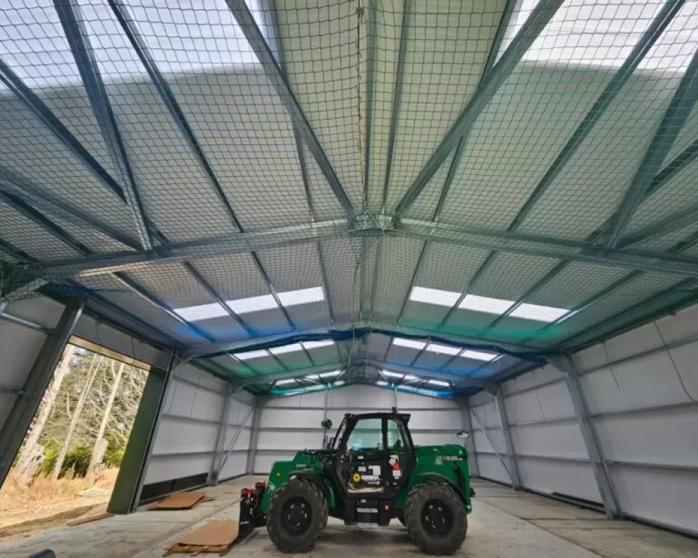 Paramount-Plants-Inside-820x615.jpeg